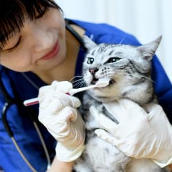 ニュースの画像