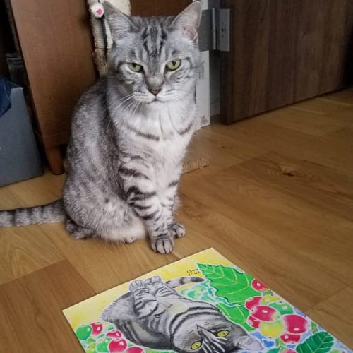 ニュースの画像