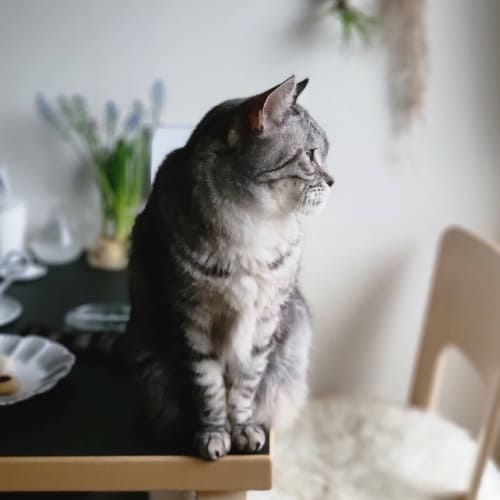 ニュースの画像