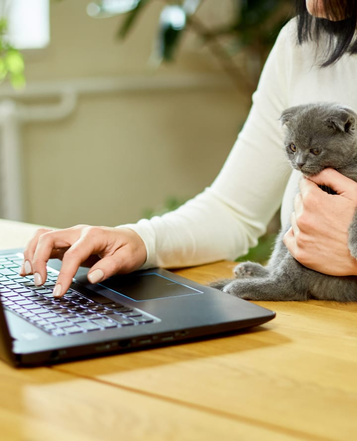 オンライン診療の画像