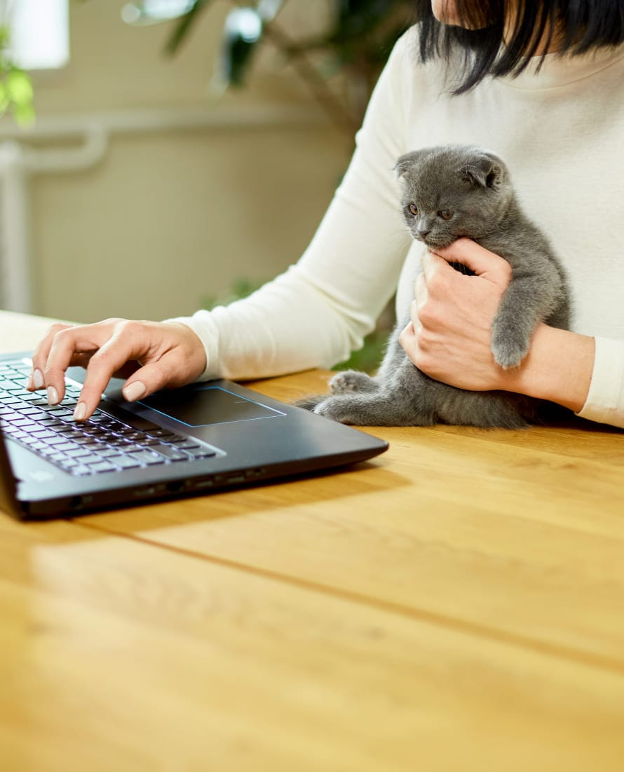 オンライン診療の画像